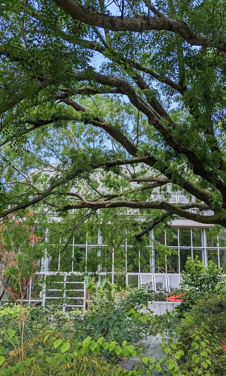 🌸 고오 코마키노 정원(다카오 코마기노 테이엔) 이미지 1